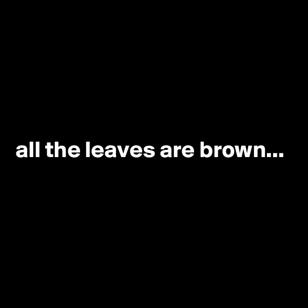 




all the leaves are brown...





