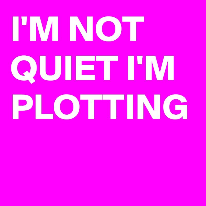 I'M NOT QUIET I'M PLOTTING 