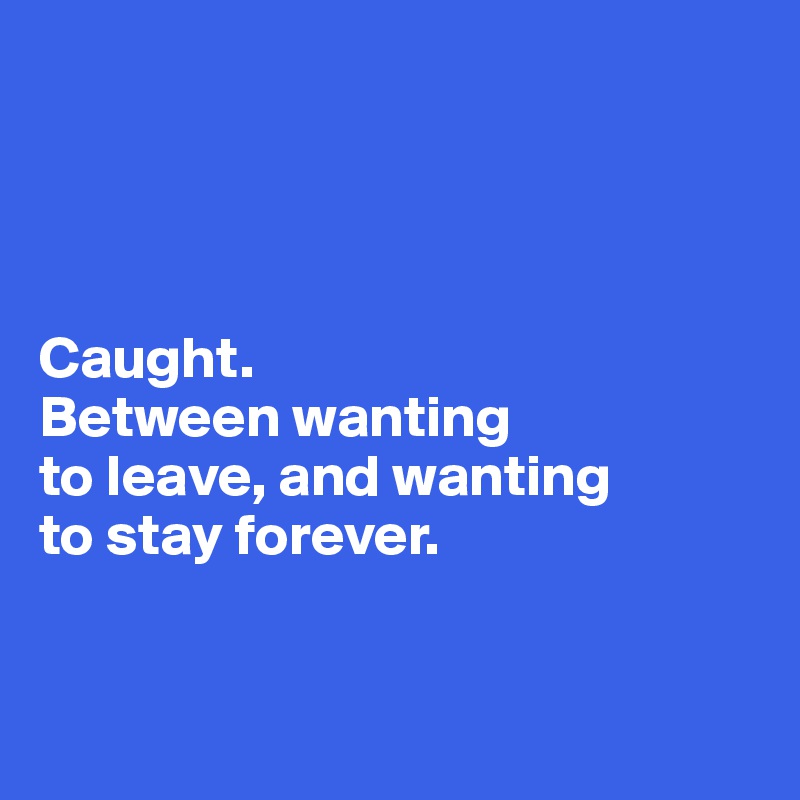 




Caught. 
Between wanting 
to leave, and wanting 
to stay forever. 


