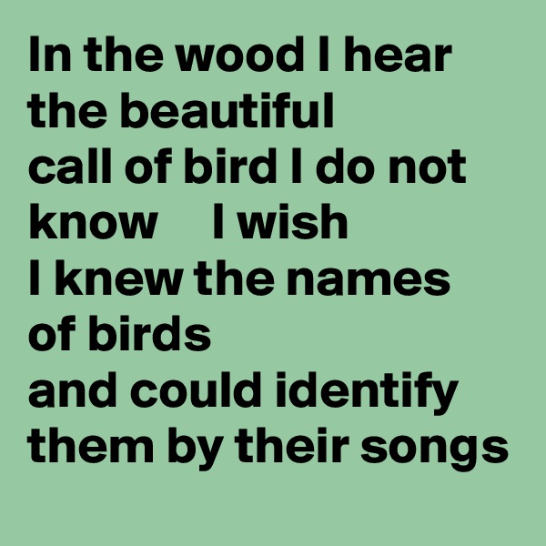 In the wood I hear the beautiful
call of bird I do not know     I wish
I knew the names of birds
and could identify them by their songs
