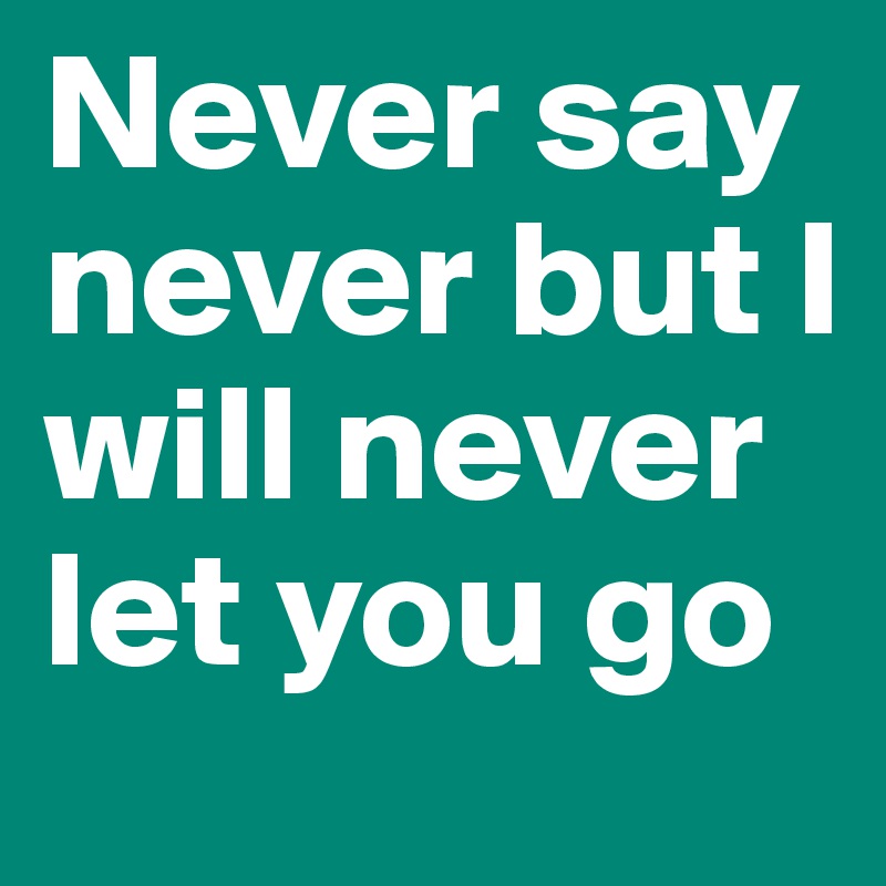 Never say never but I will never let you go