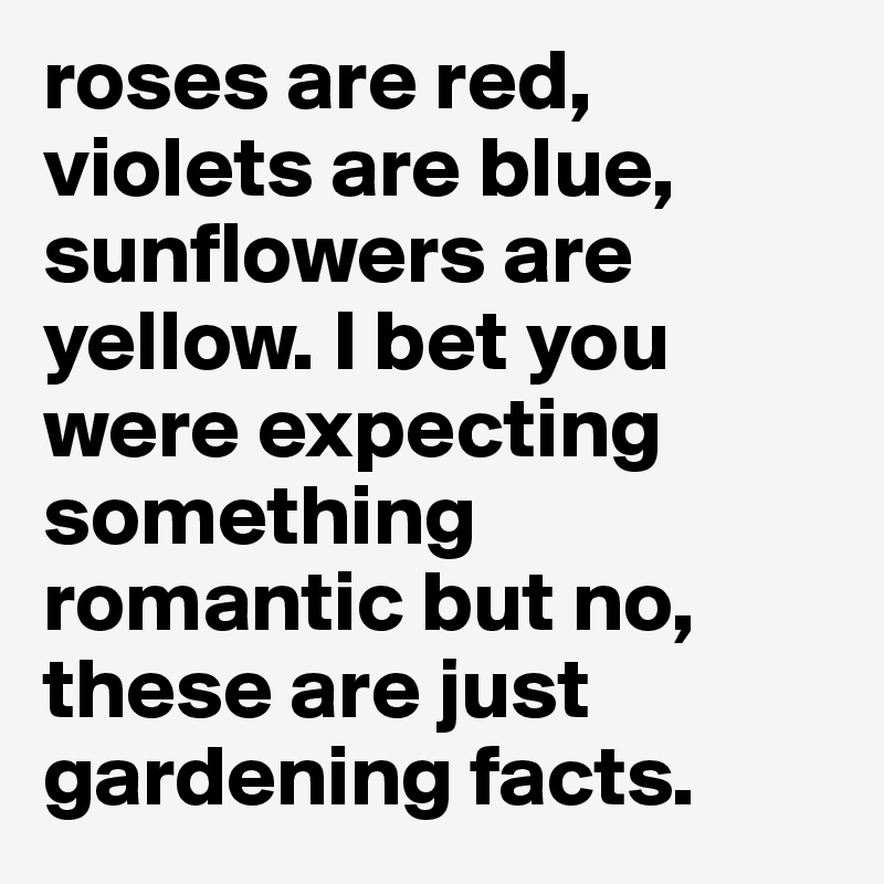 roses are red, violets are blue, sunflowers are yellow. I bet you were expecting something romantic but no, these are just gardening facts. 