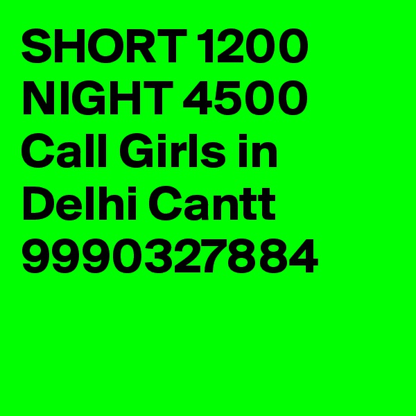 SHORT 1200 NIGHT 4500 Call Girls in Delhi Cantt 9990327884

