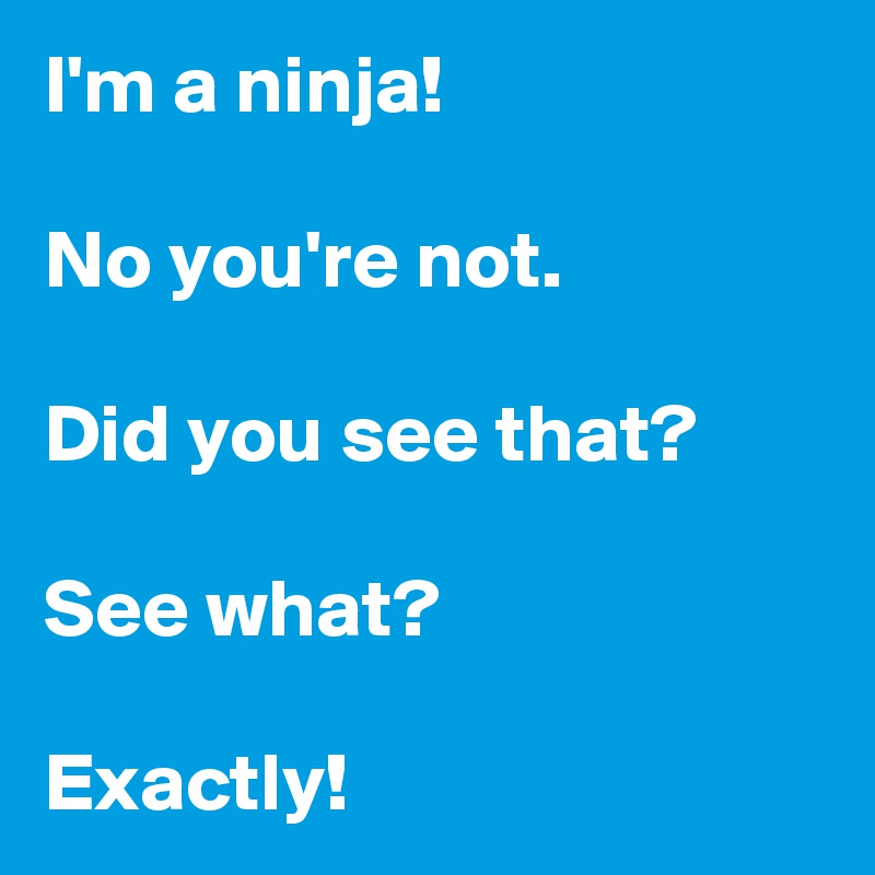 I'm a ninja! 

No you're not. 

Did you see that? 

See what? 

Exactly!