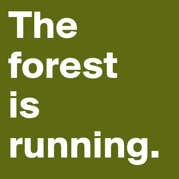 The forest 
is running.