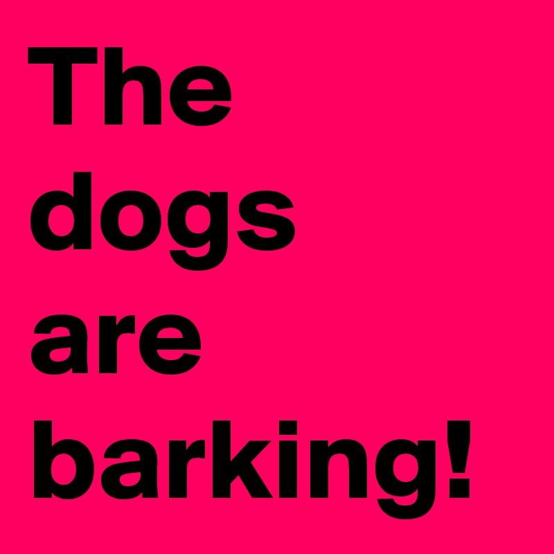 The dogs
are
barking!