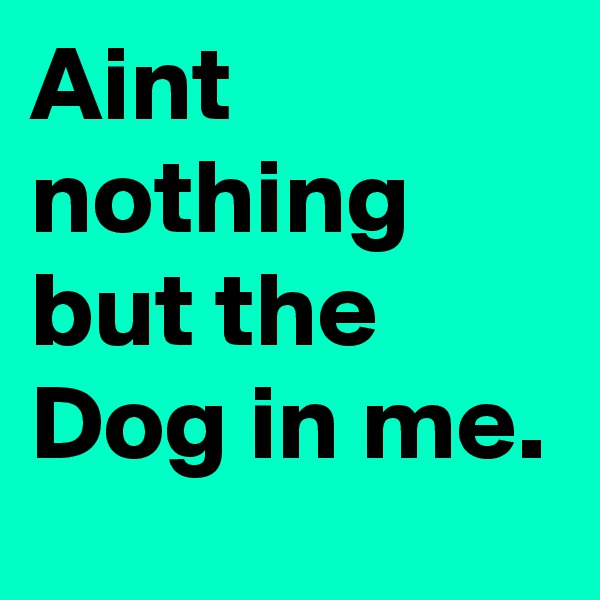Aint nothing but the Dog in me.