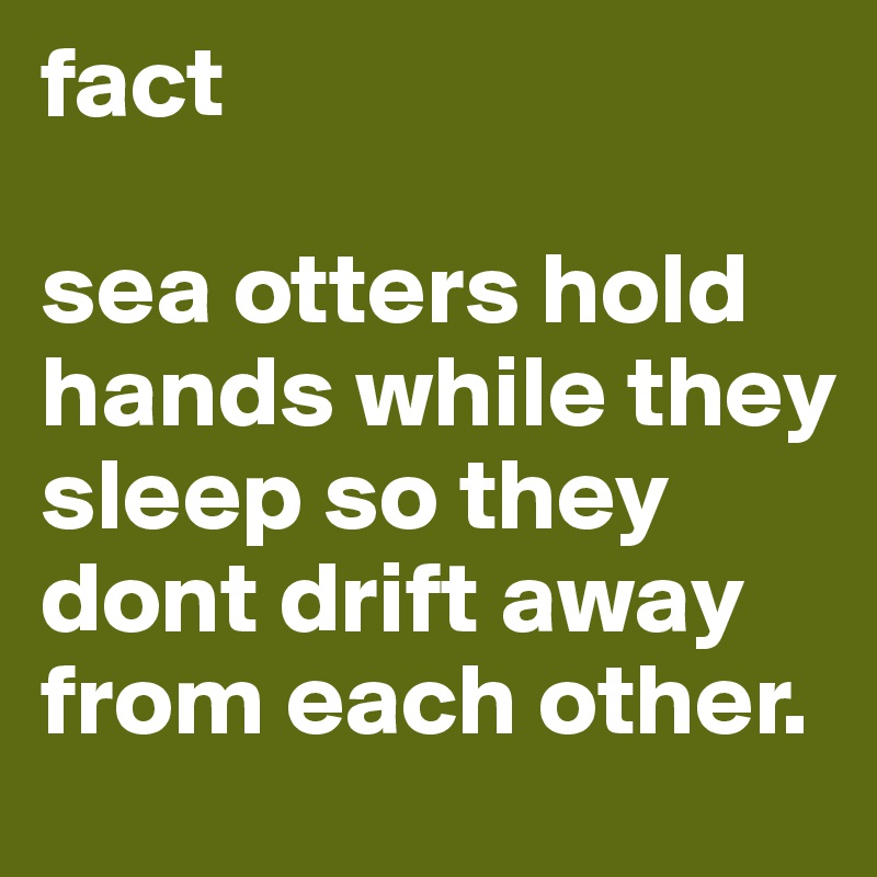 fact 

sea otters hold hands while they sleep so they dont drift away from each other.