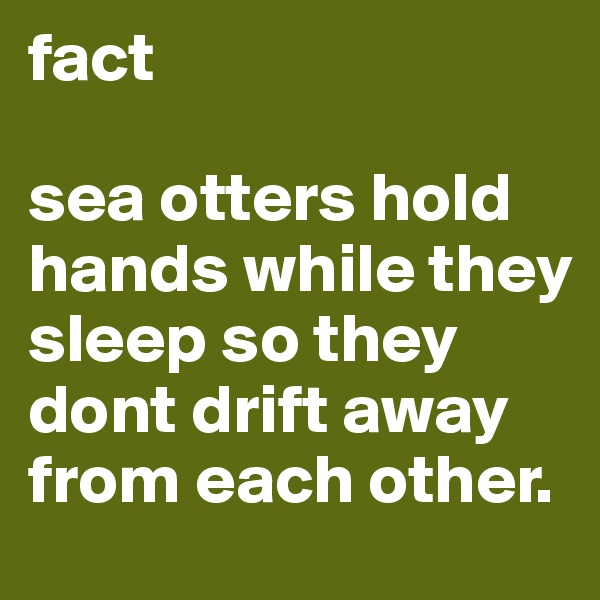fact 

sea otters hold hands while they sleep so they dont drift away from each other.