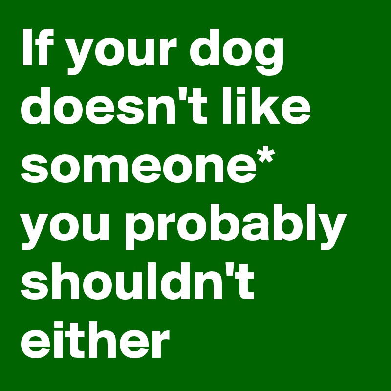 If your dog doesn't like someone* you probably shouldn't either
