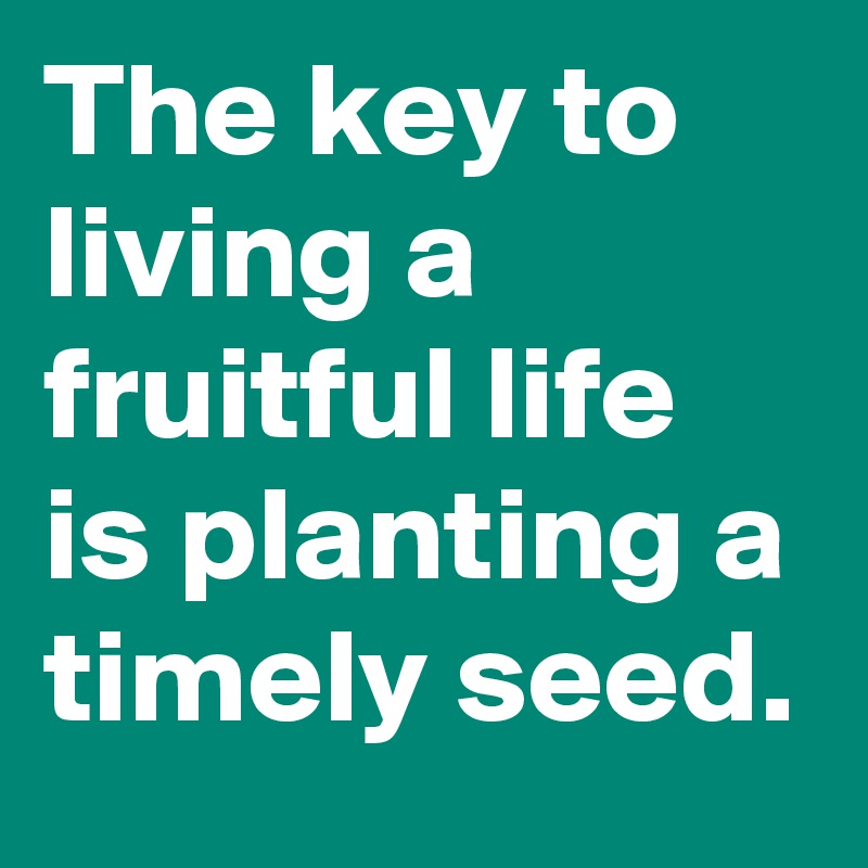 The key to living a fruitful life is planting a timely seed.
