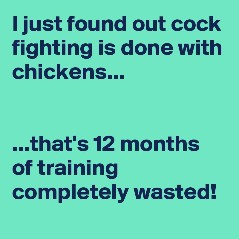 I just found out cock fighting is done with chickens...


...that's 12 months of training completely wasted!