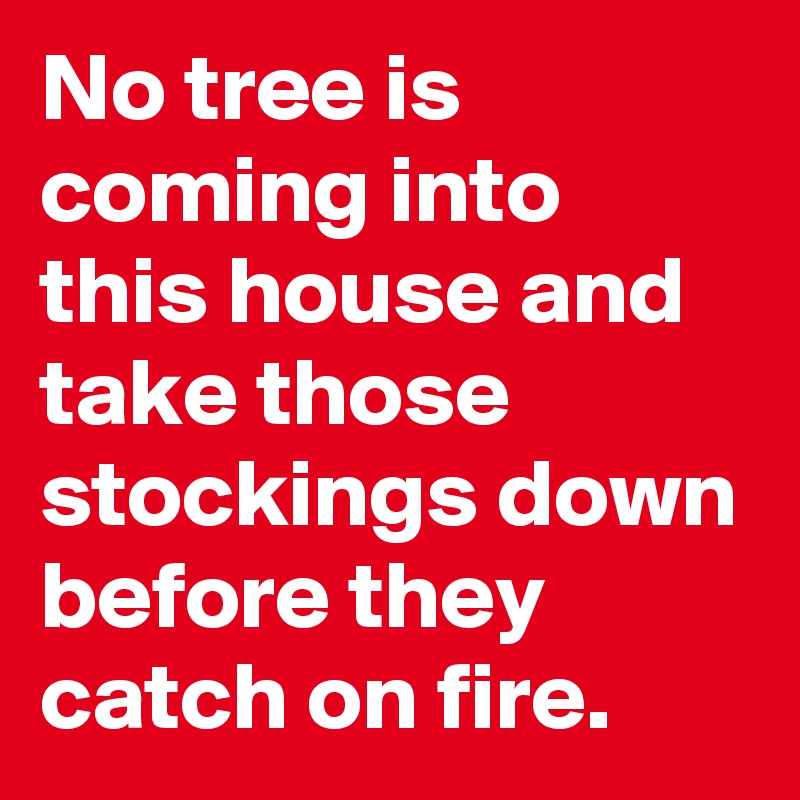 No tree is coming into this house and take those stockings down before they catch on fire.
