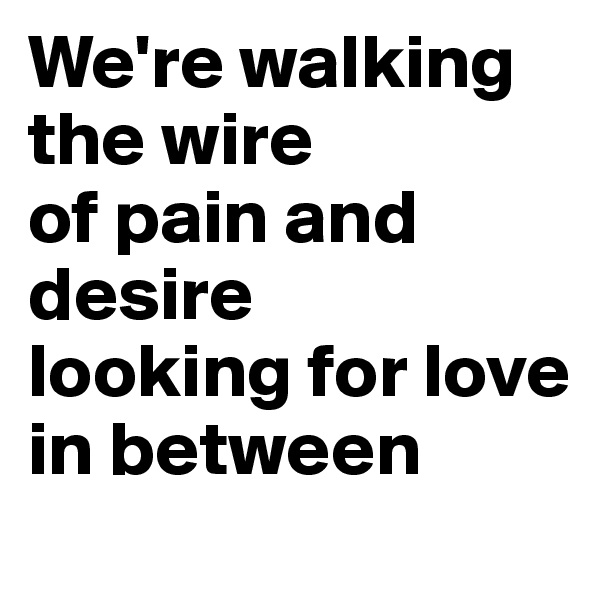 We're walking the wire 
of pain and desire
looking for love in between