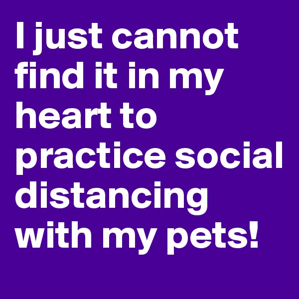 I just cannot find it in my heart to practice social distancing with my pets!