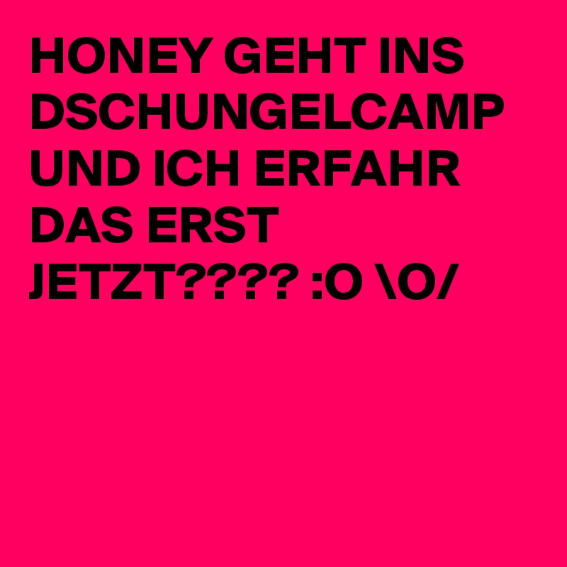 HONEY GEHT INS DSCHUNGELCAMP UND ICH ERFAHR DAS ERST JETZT???? :O \O/
