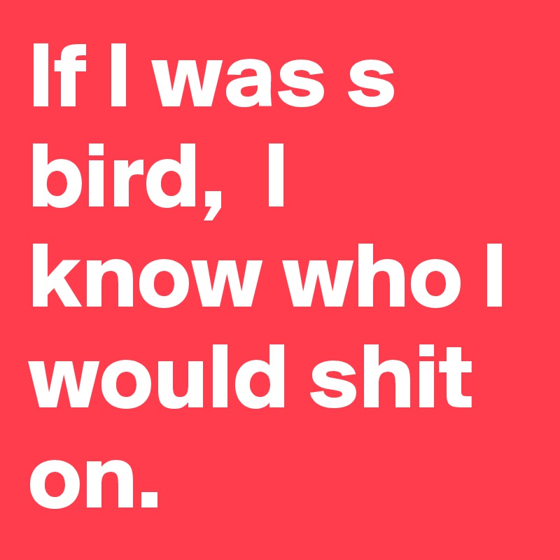 If I was s bird,  I know who I would shit on.