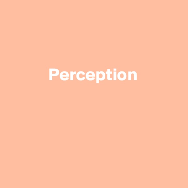 


           Perception




