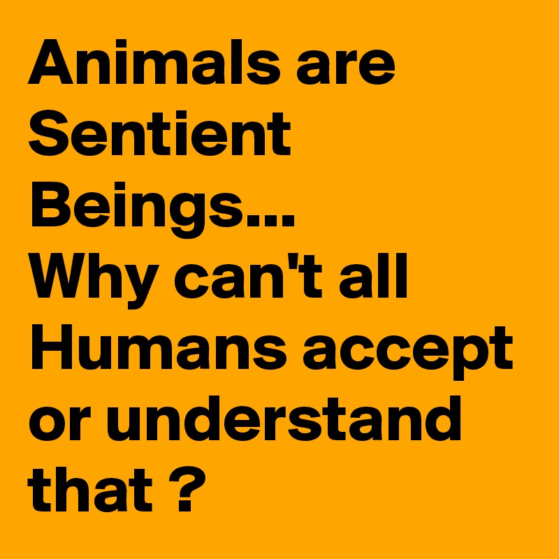 Animals are Sentient Beings...
Why can't all Humans accept or understand that ? 