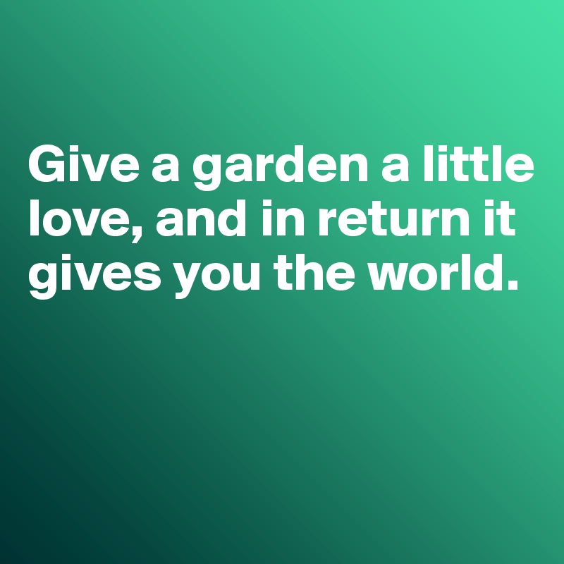 

Give a garden a little love, and in return it gives you the world.



