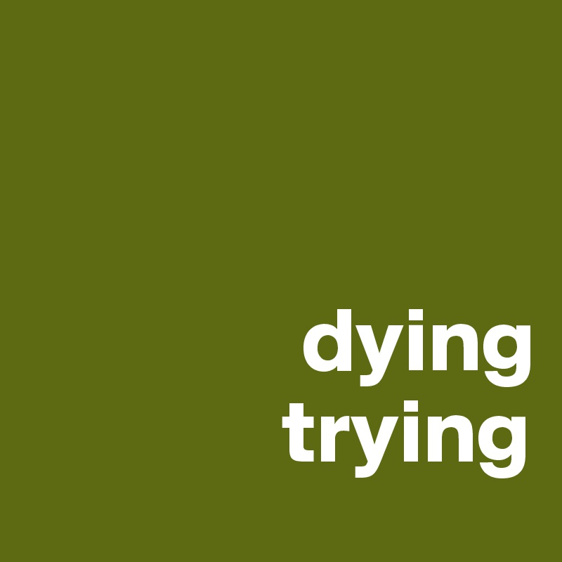    


               dying
              trying