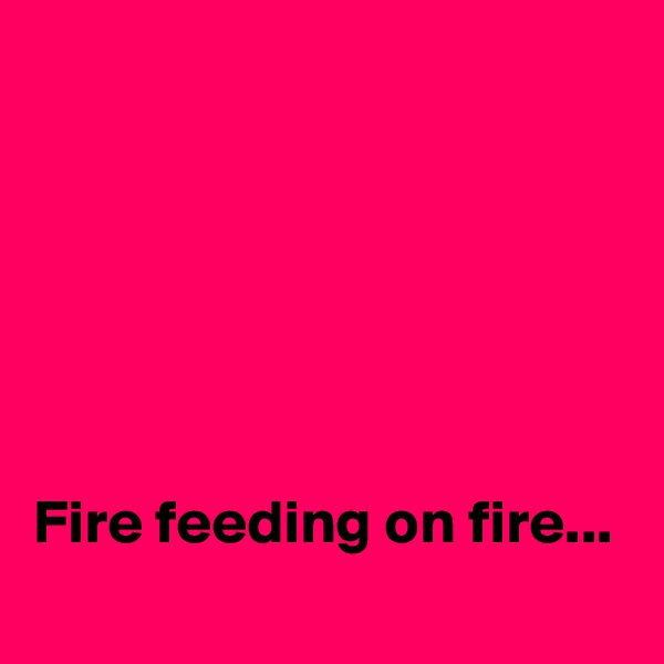 






Fire feeding on fire...