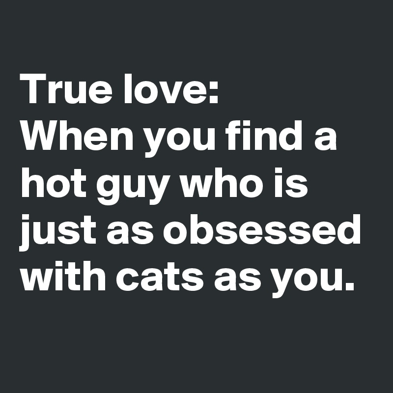 
True love: 
When you find a hot guy who is just as obsessed with cats as you.
