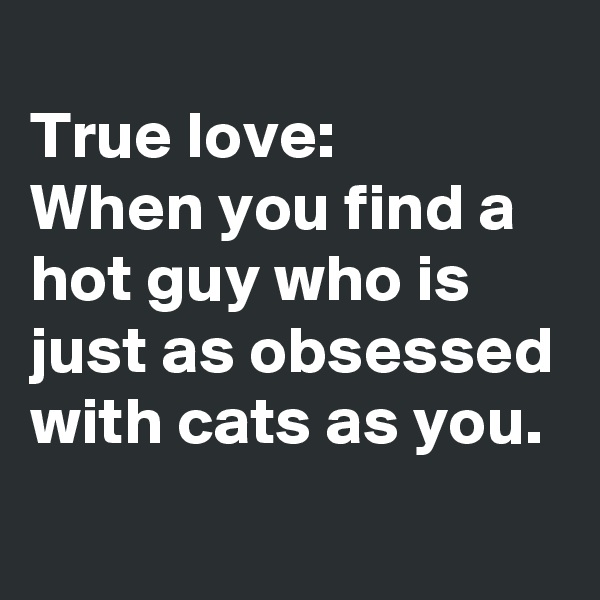 
True love: 
When you find a hot guy who is just as obsessed with cats as you.
