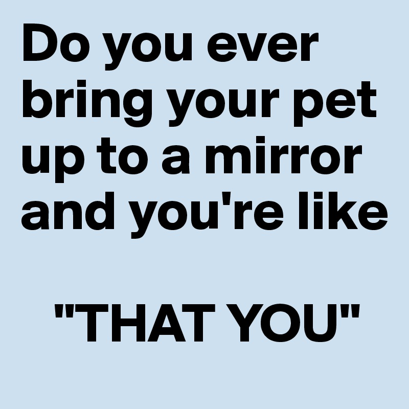 Do you ever bring your pet up to a mirror and you're like 

   "THAT YOU"