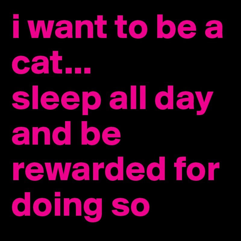 i want to be a cat...
sleep all day and be rewarded for doing so