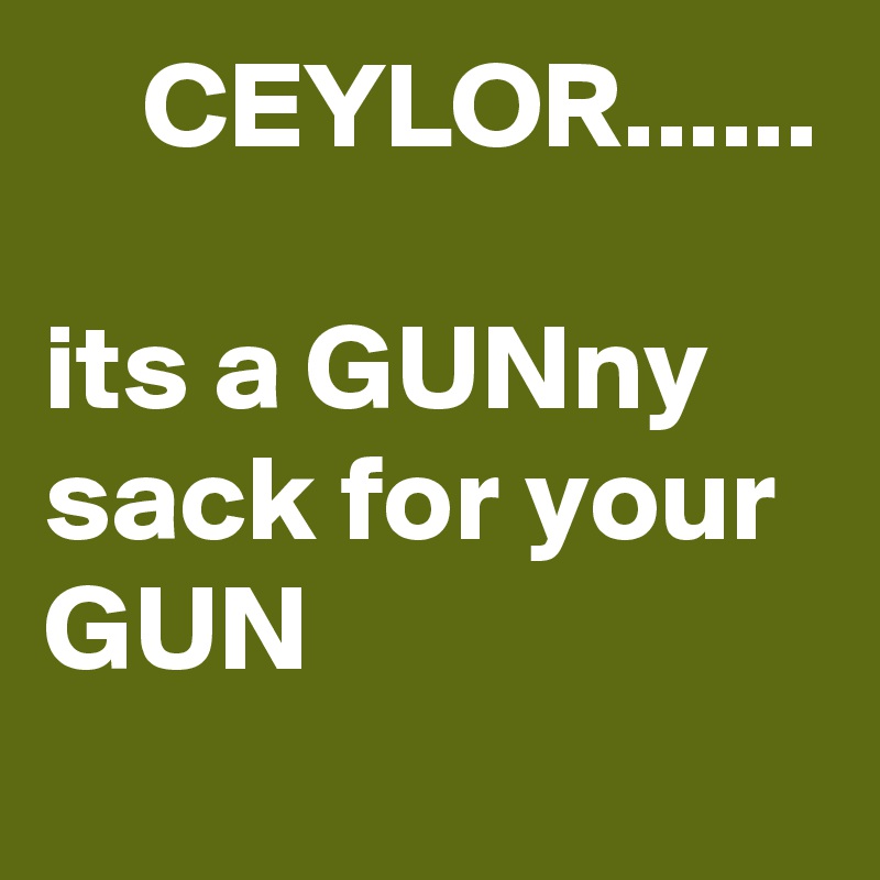     CEYLOR......

its a GUNny sack for your GUN