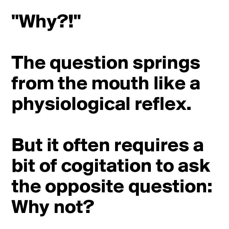 "Why?!" 

The question springs from the mouth like a physiological reflex.

But it often requires a bit of cogitation to ask the opposite question: Why not?