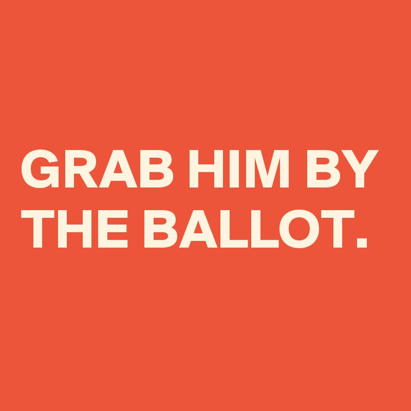 

GRAB HIM BY THE BALLOT.

