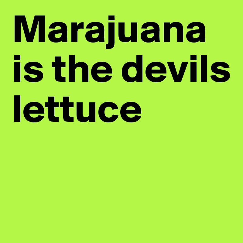 Marajuana is the devils lettuce


