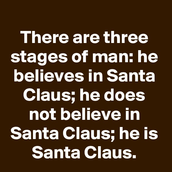 
There are three stages of man: he believes in Santa Claus; he does not believe in Santa Claus; he is Santa Claus.