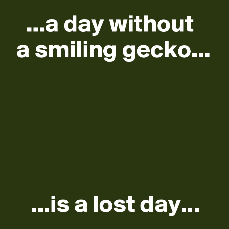    ...a day without
 a smiling gecko...





    ...is a lost day...