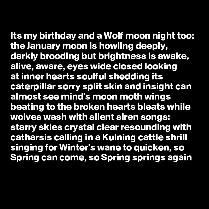 

Its my birthday and a Wolf moon night too:
the January moon is howling deeply, 
darkly brooding but brightness is awake, 
alive, aware, eyes wide closed looking 
at inner hearts soulful shedding its caterpillar sorry split skin and insight can almost see mind's moon moth wings beating to the broken hearts bleats while wolves wash with silent siren songs: starry skies crystal clear resounding with catharsis calling in a Kulning cattle shrill singing for Winter's wane to quicken, so Spring can come, so Spring springs again
 
