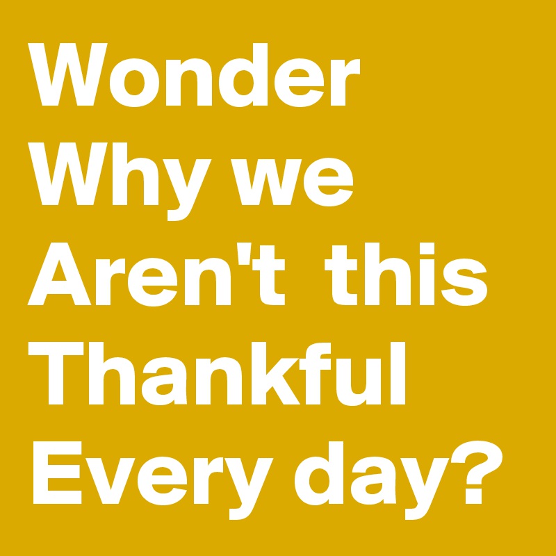 Wonder Why We Aren't This Thankful Every Day? - Post By Usualman On 