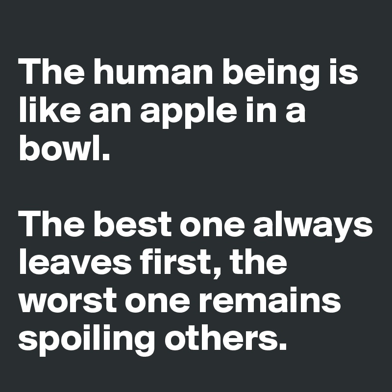 
The human being is like an apple in a bowl. 

The best one always leaves first, the worst one remains spoiling others.