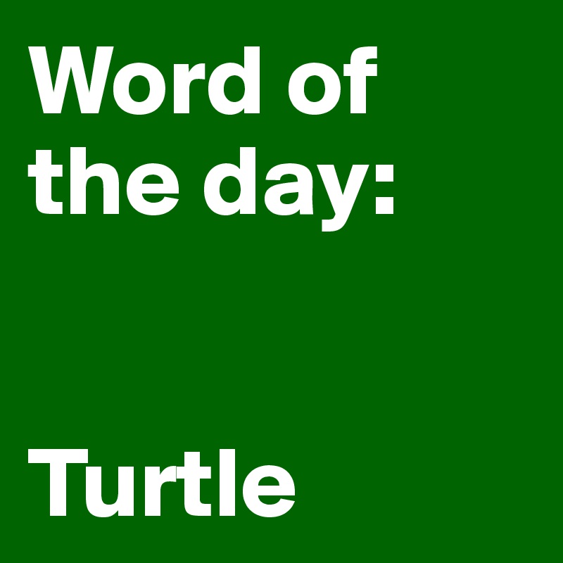 Word of
the day:


Turtle