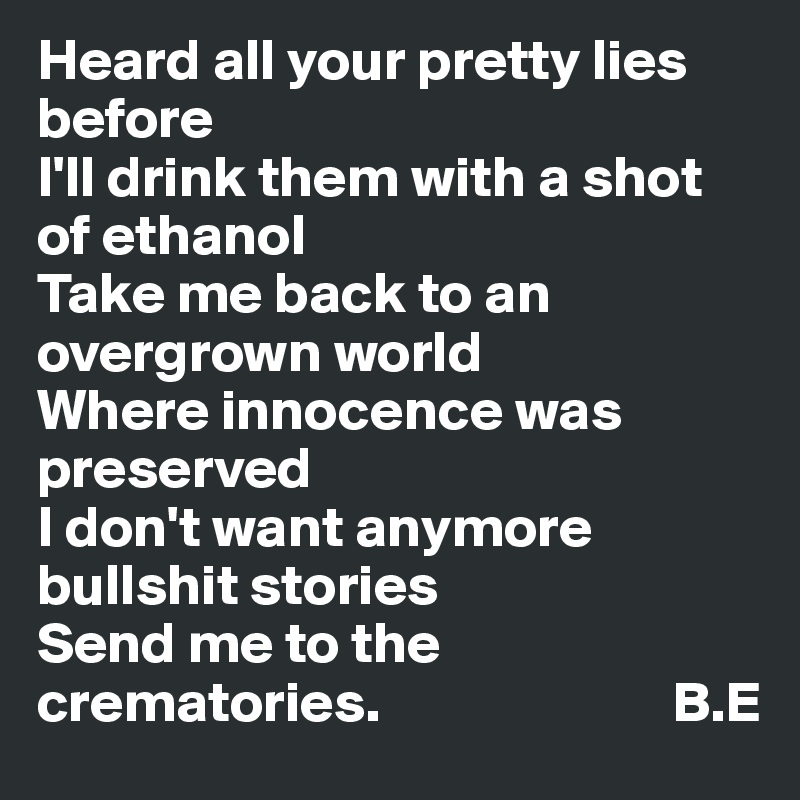Heard all your pretty lies before
I'll drink them with a shot of ethanol
Take me back to an overgrown world
Where innocence was preserved
I don't want anymore bullshit stories
Send me to the crematories.                         B.E