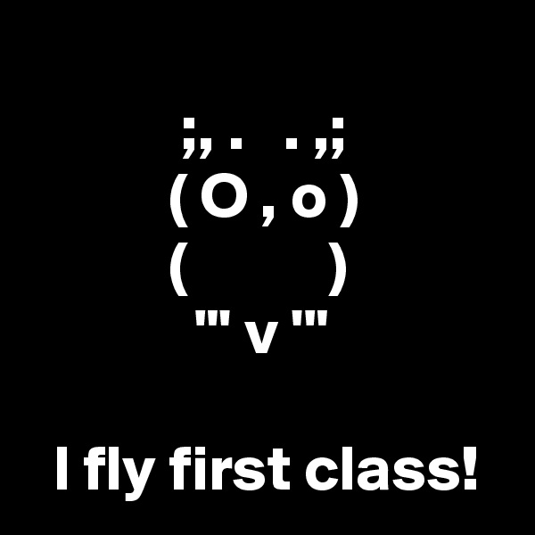 
            ;, .   . ,;
           ( O , o )
           (           )
             "' v '"

  I fly first class!