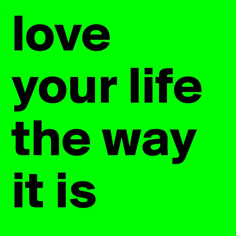 love your life the way it is