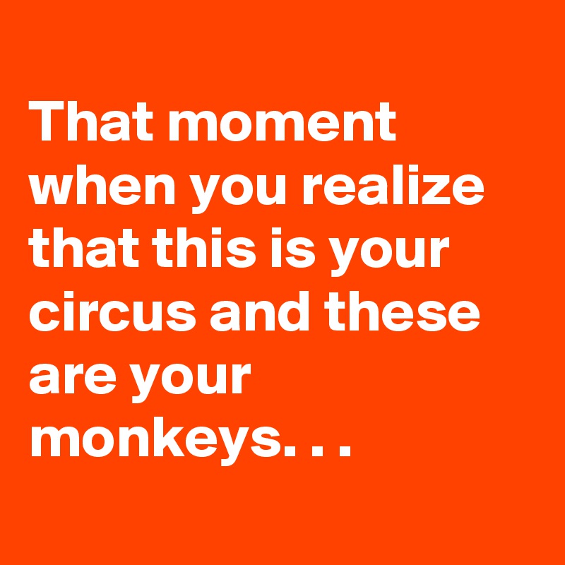 
That moment when you realize that this is your circus and these are your monkeys. . .
