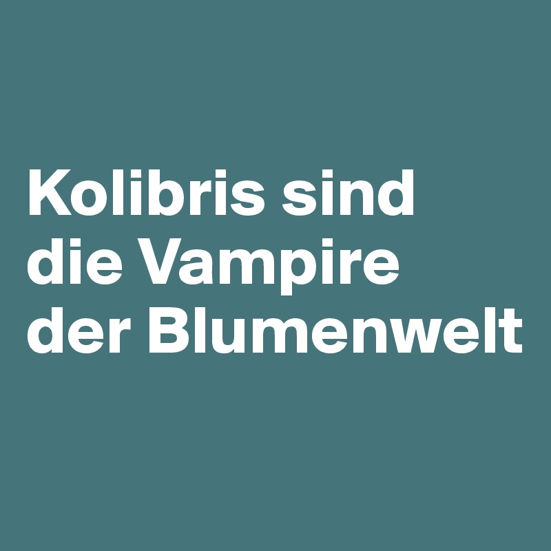 

Kolibris sind die Vampire 
der Blumenwelt

