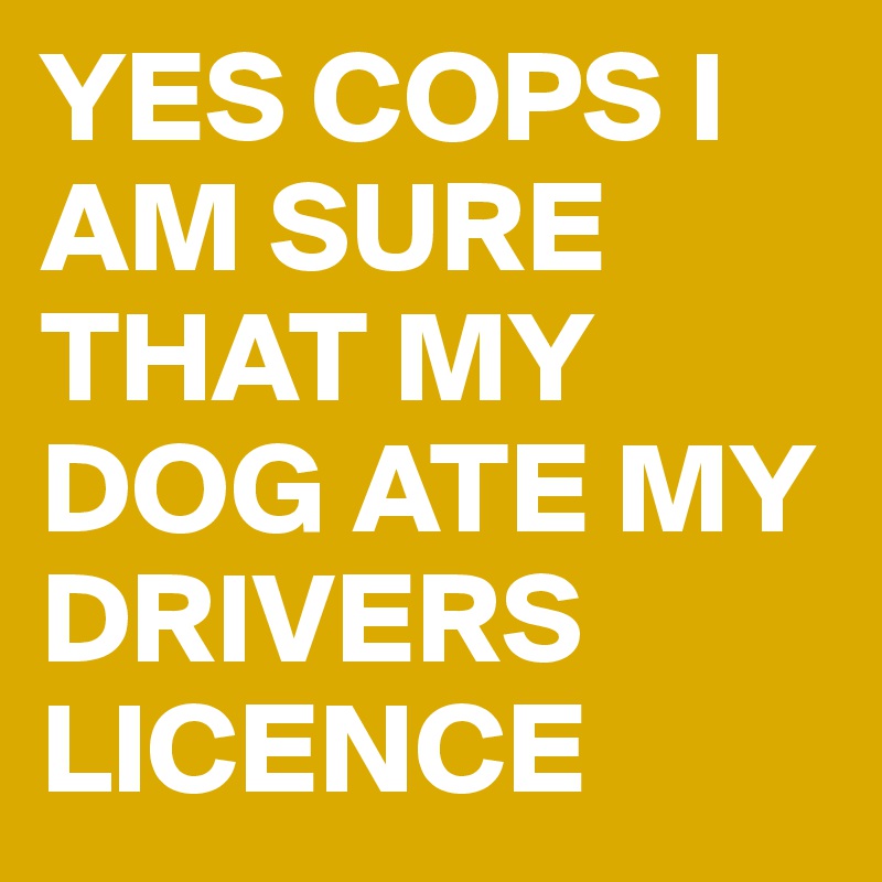 YES COPS I AM SURE THAT MY DOG ATE MY DRIVERS LICENCE 