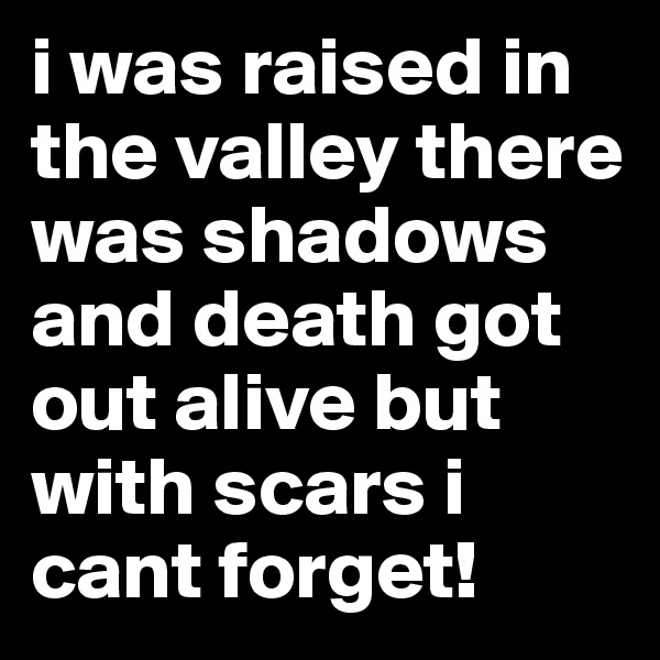 i was raised in the valley there was shadows and death got out alive but with scars i cant forget!