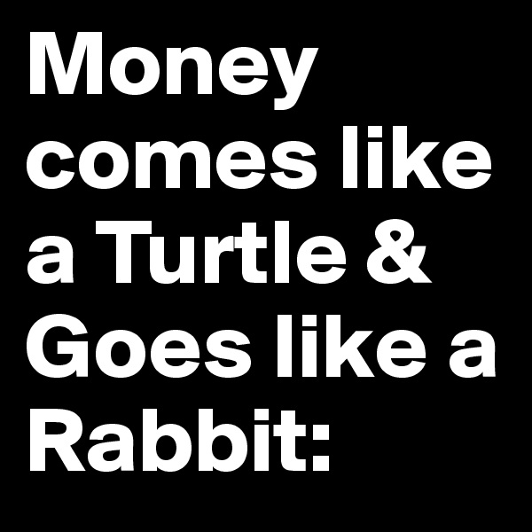 Money comes like a Turtle & Goes like a Rabbit: