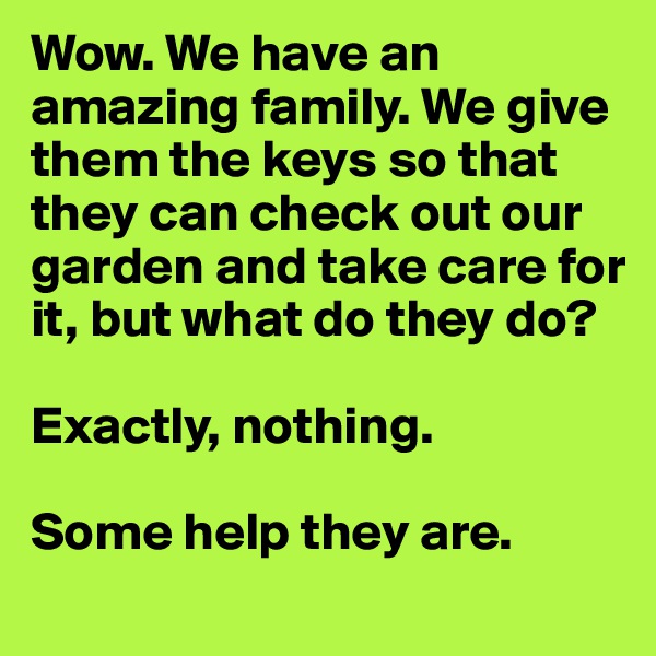 Wow. We have an amazing family. We give them the keys so that they can check out our garden and take care for it, but what do they do?

Exactly, nothing.

Some help they are.
