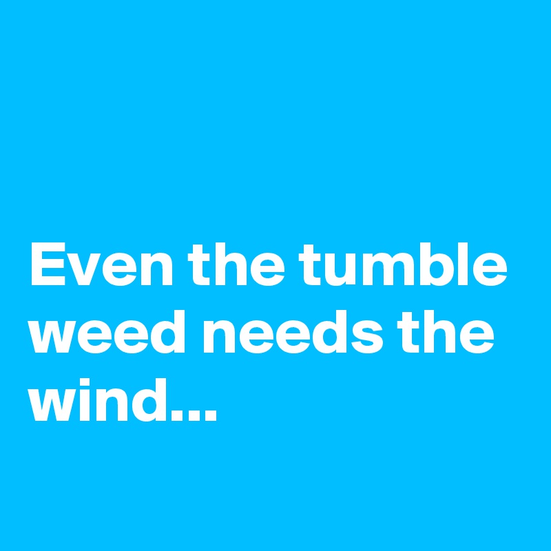 


Even the tumble weed needs the wind...
